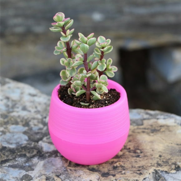 Flower Pot Flower Container Seedling Pot Plastic Flower Pot Succulent Pot Succulent Pot Mini Seedling Flower Container Plastic Flower Pot For Garden Courtyard Balcony