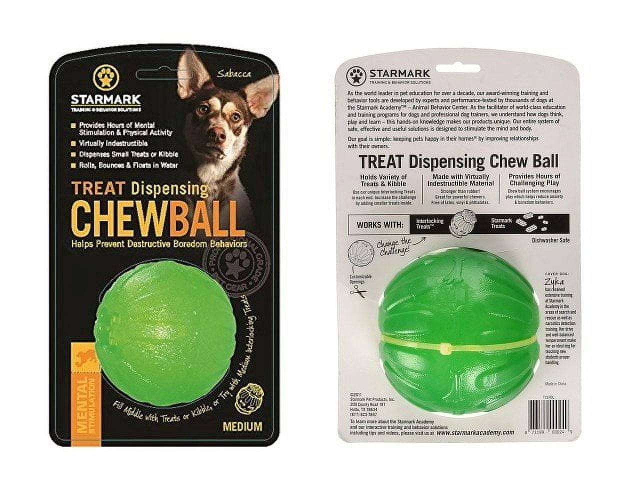 StarMark Everlasting Fun Ball MEDIUM Treat Dispensing Chew Ball