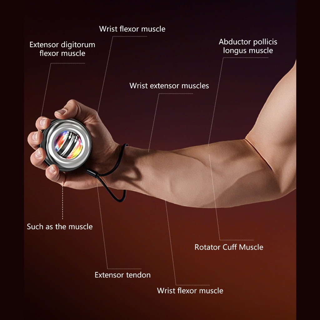 MOMOJIA Hand Wrist Forearm Trainer Forearm Gyro Ball Wrist Exerciser Gyro Ball Strengthener for Wrist & Forearm Training