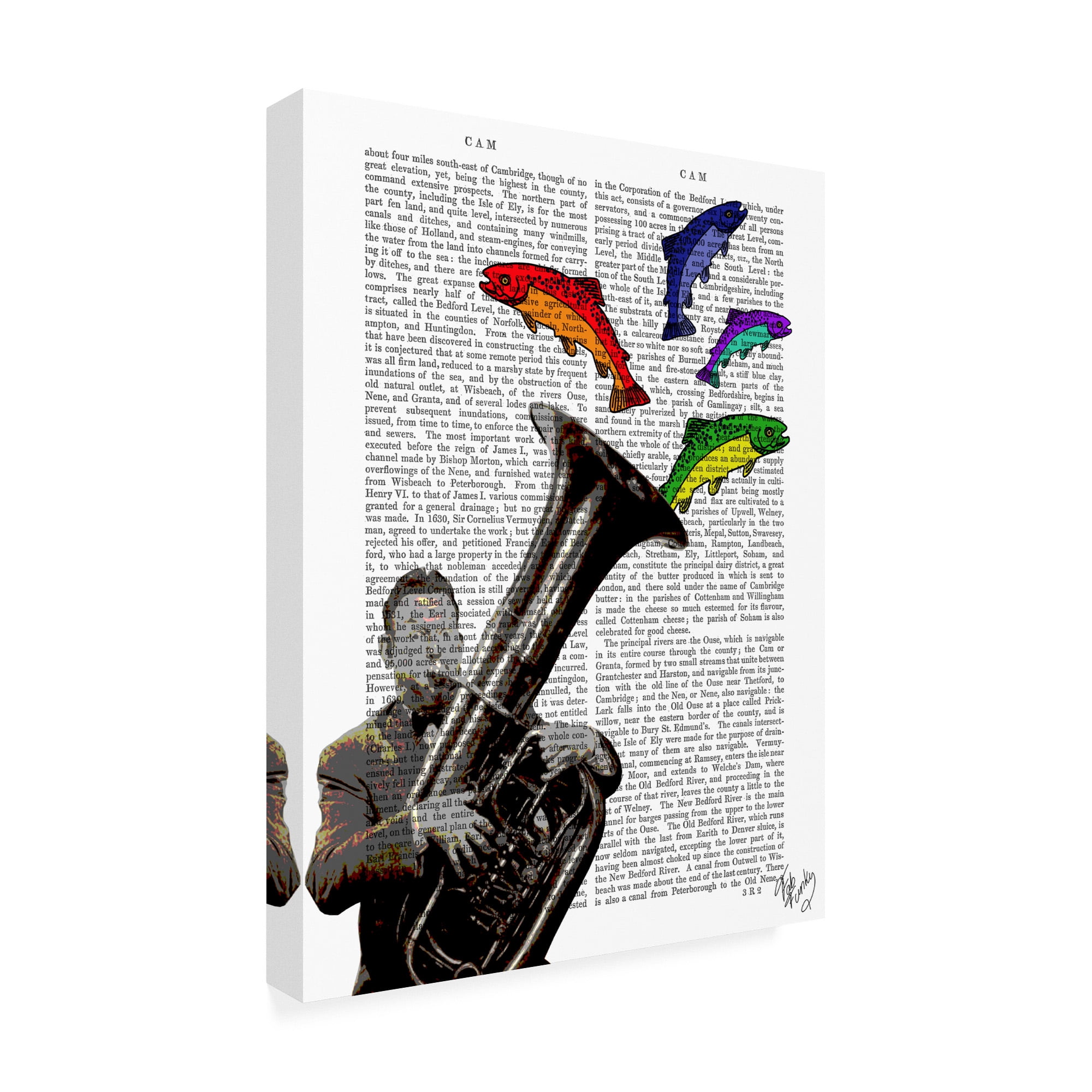 Trademark Fine Art 'Tuba And Fish' Canvas Art by Fab Funky