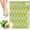 Avocado Oil - Intense Hydration, variant on Original Derma Beauty 24 Pairs Repairing Hemp seed + Detoxifying Charcoal Foot Mask (Assort #1)