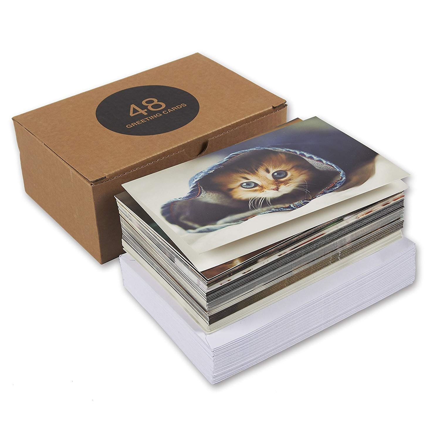greeting card shop in a box greeting card shop in a box