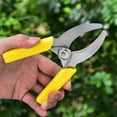 thumbnail image 1 of RuiJiao Clearance Stainless Steel Pruning Shears Pruning Shears Fruit Picking Flowering Tree Shears Gardening Fruit Tree Flower Grafting Gardening Scissors Tools, 1 of 9