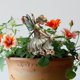 thumbnail image 1 of Hada y mariposa, estaca de jardín, letrero acrílico 2D, diseño creativo, decoración de maceta para bonsái, patio interior y exterior, cama de flores, 1 of 8