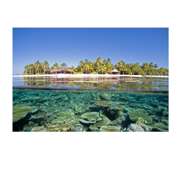 Startonight Mural Wall Art Clear Ocean - Beach Theme Photo Wallpaper 100" x 140" Large Size