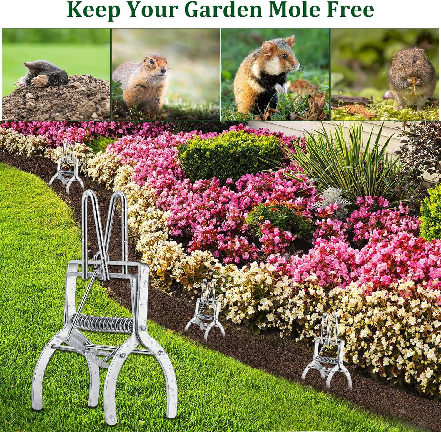 2 Pack Mole Trap, Easy Setup Black Mole Trap for Lawns,Reusable