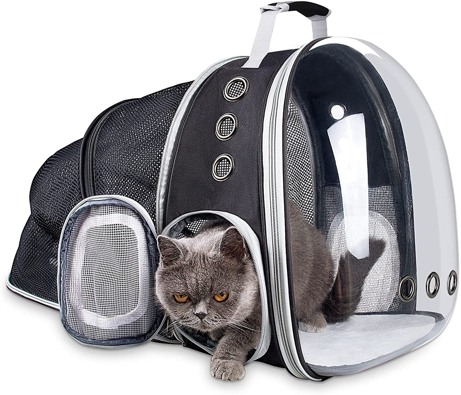 clear cat backpack