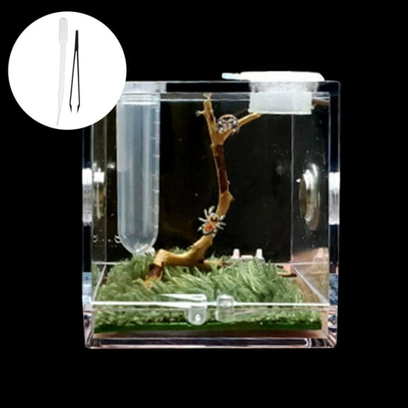 Jumping Spider Habitat Acrylic Breeding Box Cage For Spiders Insect ε ψэ μ