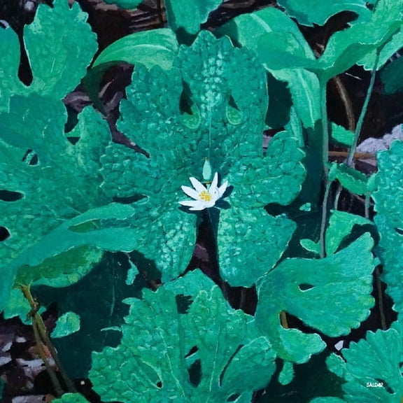 Early Fern - Wetland Interiors - Music & Performance - Vinyl