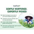 thumbnail image 6 of LeafLea 80 Black Tea Bags, Premium Black Tea Leaves, Rich Bright and Firmly Astringent, Promotes Digestive Comfort, Caffeinated, Sugar-Free, 6 of 16
