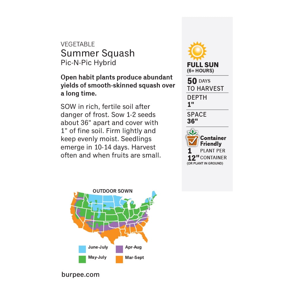 Burpee Pic-N-Pic Hybrid Summer Squash Vegetable Seed, 1-Pack