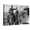 Canvas, variant on Art.com Shane, Alan Ladd, Brandon De Wilde, 1953 Photo, 16" x 12"
