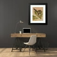 thumbnail image 4 of Léo-Paul Robert 20x24 Black Modern Framed Museum Art Print Titled - Long Tail Chickadee (1880), 4 of 5