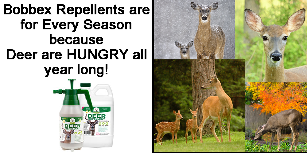 Bobbex Ready to Use EZ Pump Outdoor Garden Deer Repellent Spray, 48 oz.
