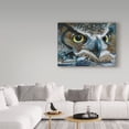 thumbnail image 3 of Trademark Fine Art 'Dark Owl' Canvas Art by Carla Kurt, 3 of 3