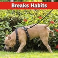 thumbnail image 3 of I Must Garden Dog and Cat Repellent: All Natural Spray to Stop Chewing and Repel from Yards, Plants, and Gardens - 32oz Easy Spray Bottle, 3 of 6