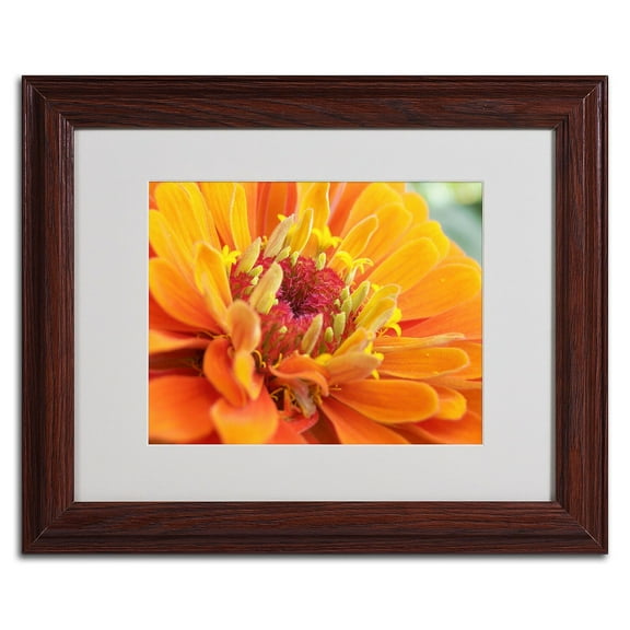 Trademark Fine Art "Balanced Beauty" by Monica Fleet, Wood Frame