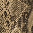 thumbnail image 1 of Ahgly Company Machine Washable Indoor Square Transitional Bakers Brown Area Rugs, 5' Square, 1 of 7