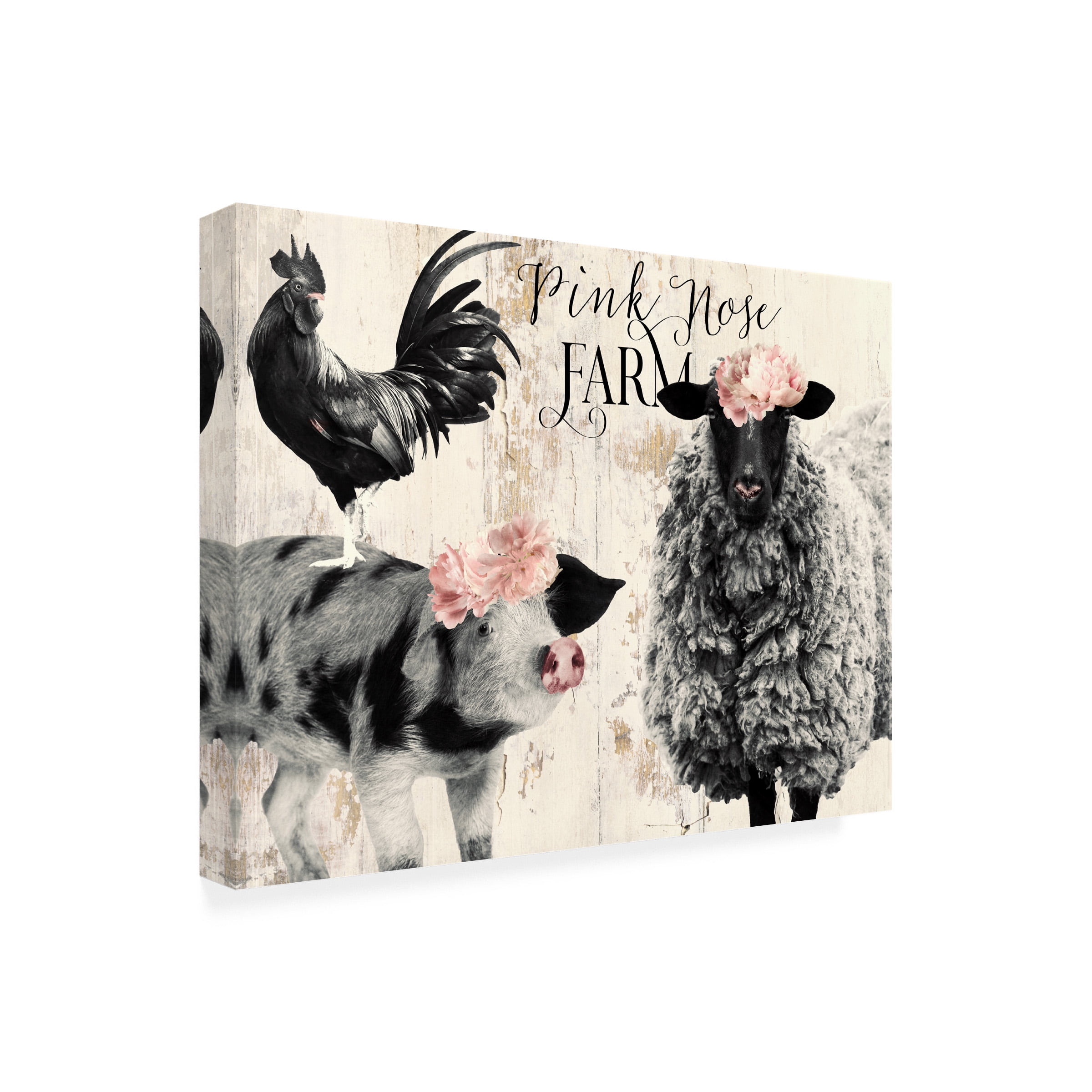 Canvas Wall Art - Sasha 'Pink Nose Farm II' Wall Art for Living Room, Bedroom, or Office DÃ©cor by Trademark Fine Art - 19 x 14 Inches