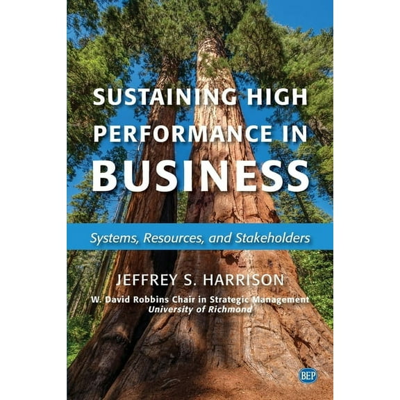 Sustaining High Performance in Business: Systems, Resources, and Stakeholders (Paperback)