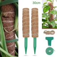thumbnail image 3 of de soporte de barra de escalada para plantas Monstera para plantas Juego de 30 cm. Zulema postes de musgo, 3 of 8