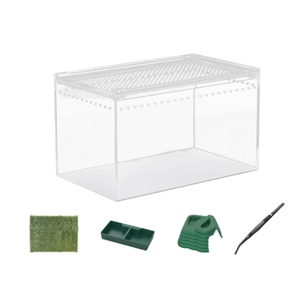 Terrario transpirable para reptiles, comedero para serpientes, tortugas y camaleones. para la rana cornuda