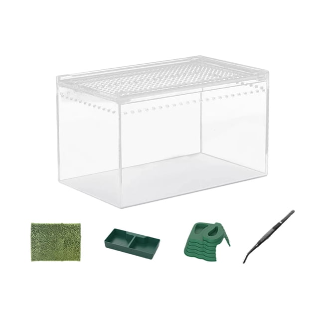 lingqin Reptile Breeding Box Animal Habitat Cage Transparent Professional Enclosure Cage for Horned frog