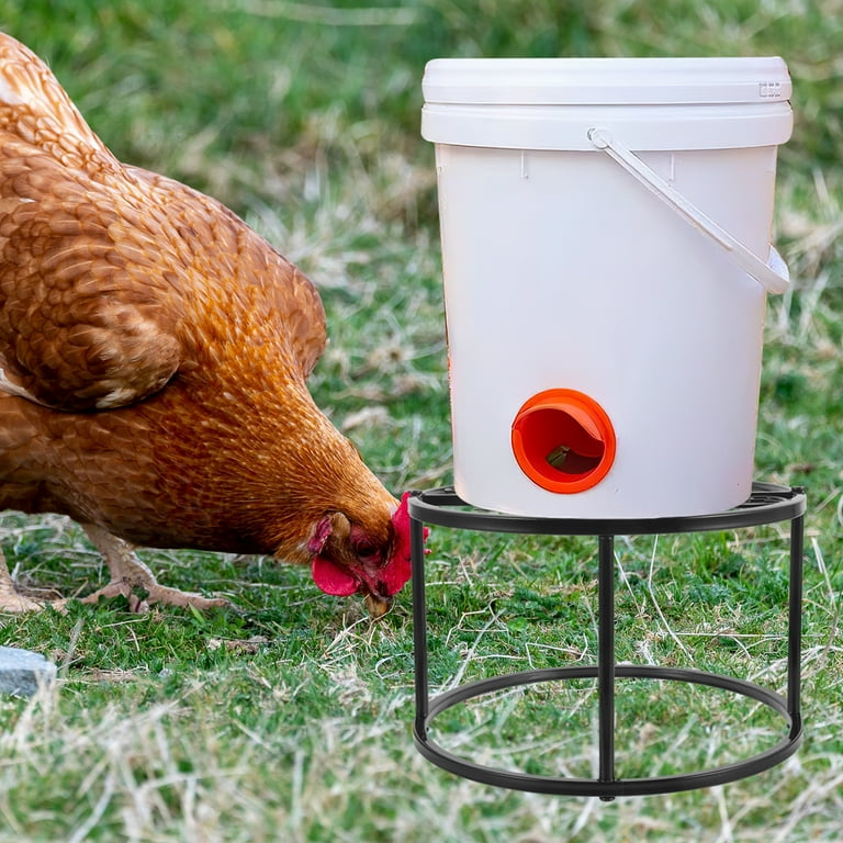 unbranded Outdoor Chicken Feed Feeding Stand Brooder Feeders Treat