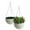 White, variant on Algreen 14427 10 in. Self Watering Modena Wicker Hanging Basket, White - Pack of 2