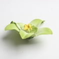 thumbnail image 4 of 40x Picks Cabezas de Flores de Peonía de, 4 of 9