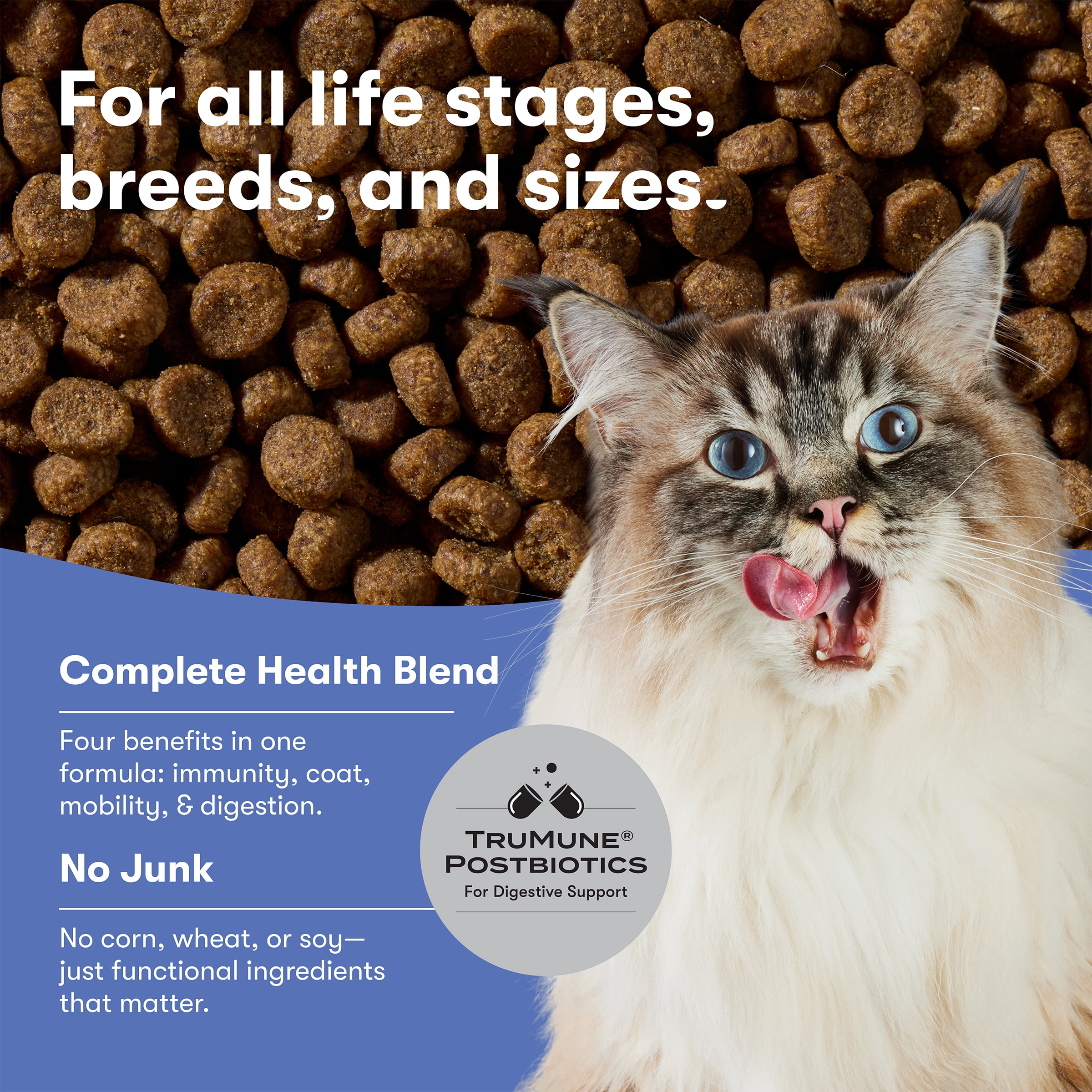 Jinx Cage-Free Chicken, Turkey, Duck Dry Cat Food, 3 lb