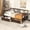 Espresso, variant on MODERNLUXE Twin Size Wood Daybed with 2 Storage Drawers for Living Room, Bedroom,White