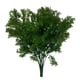 thumbnail image 5 of 2x Manojo de Planta Hierba Perejil Artificial Plástica Decoración Boda Hogar, 5 of 9