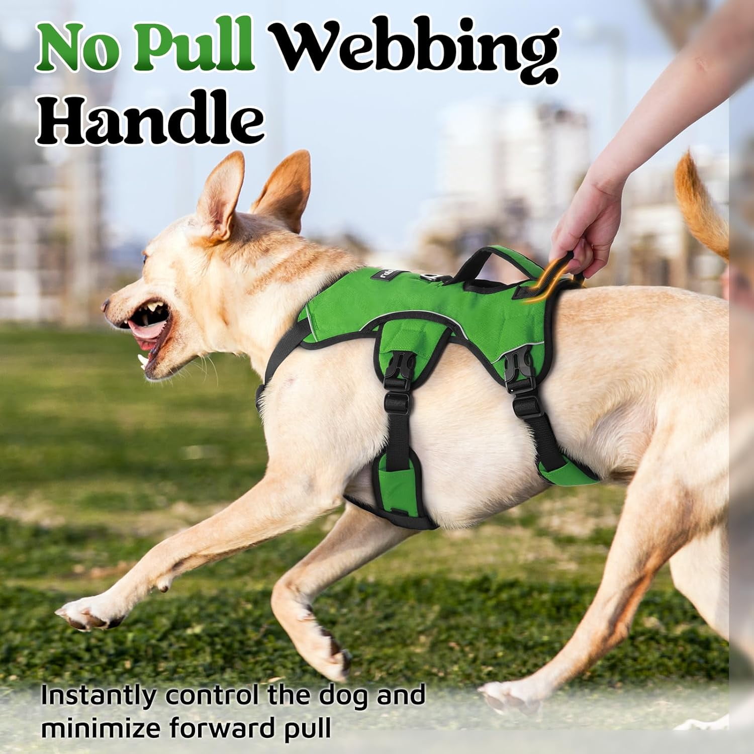 rabbitgoo Escape Proof Dog Harness, Soft Padded Full Body Pet Harness, Reflective Adjustable No Pull Vest with Lift Handle and Lesh Clip for Large Dogs Walking Hiking Training, Green