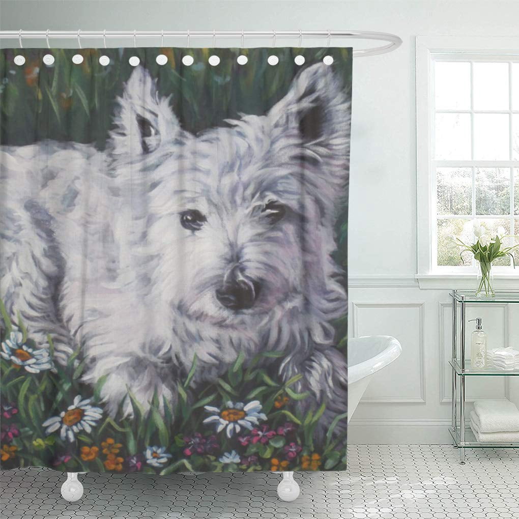west highland grey terrier