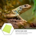 thumbnail image 4 of OULII Pet Owner Accessories Reptile Carpet Light Green 1Set, 4 of 6