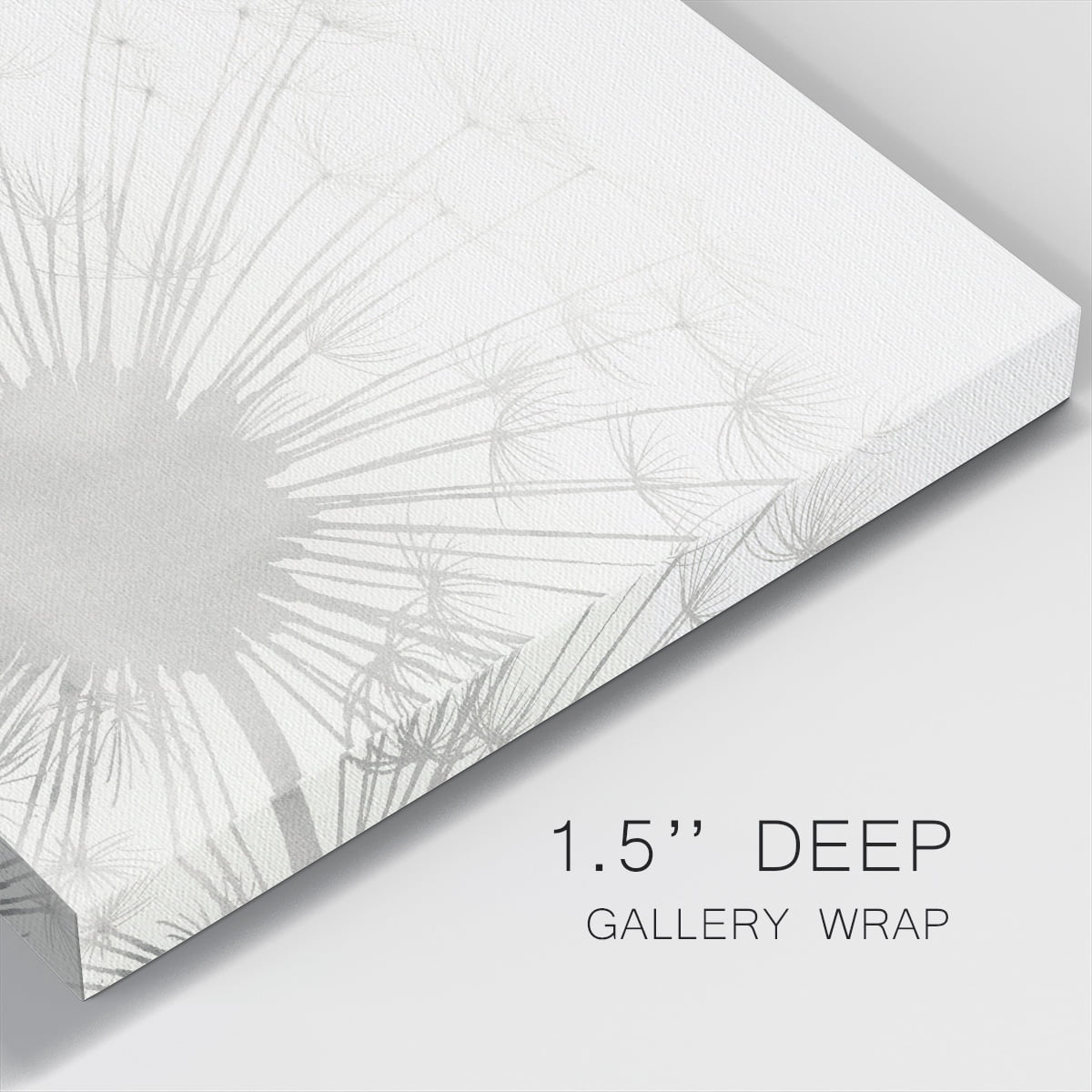 Wexford Home Dandelion Whisper I-Premium Gallery Wrapped Canvas, 10" x 10" - Ready to Hang
