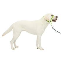 PetSafe Gentle Leader Dog Collar, Large, Apple Green