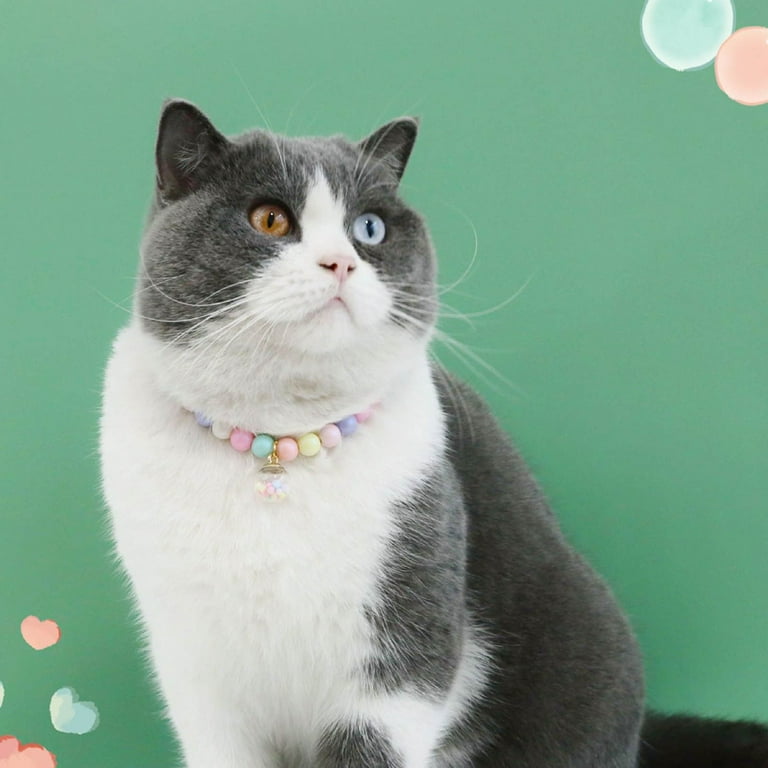 Holiday hotsell cat collar