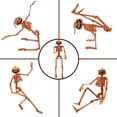 thumbnail image 2 of Poseable Halloween Skeleton Decor, Full Body Poseable Plastic Skeleton for Haunted House Party Decorations, Great for Halloween Props and Scary Graveyard Displays (1 x Skeleton, 40x10cm), 2 of 4