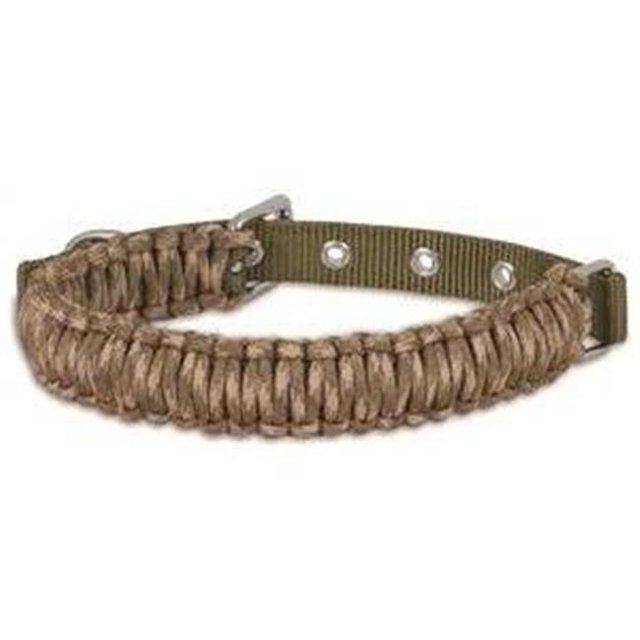 Aspen Pet 00382 Colliers pour Chiens, Paracorde - Réglable, 1 x 14 - 18 Po