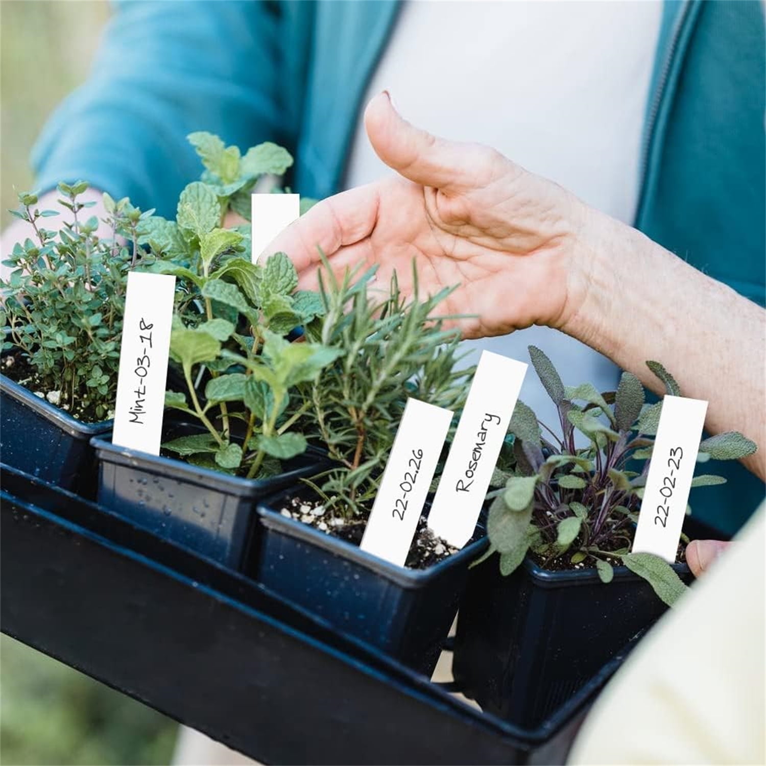 Plant Labels for Plant,Bexikou 500Pcs 4 Inch Plastic Plant Name Tags for Seedlings,Garden Labels Markers,Nursery Plant Tags,Seed Labels with Marking Pen,Plant Markers for Outdoor Garden