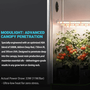ALPHAGROW Grow Tent Kit, 24 x 24 x 48 in, with 33 W LED Light and 4 in Integrated Inline Fan