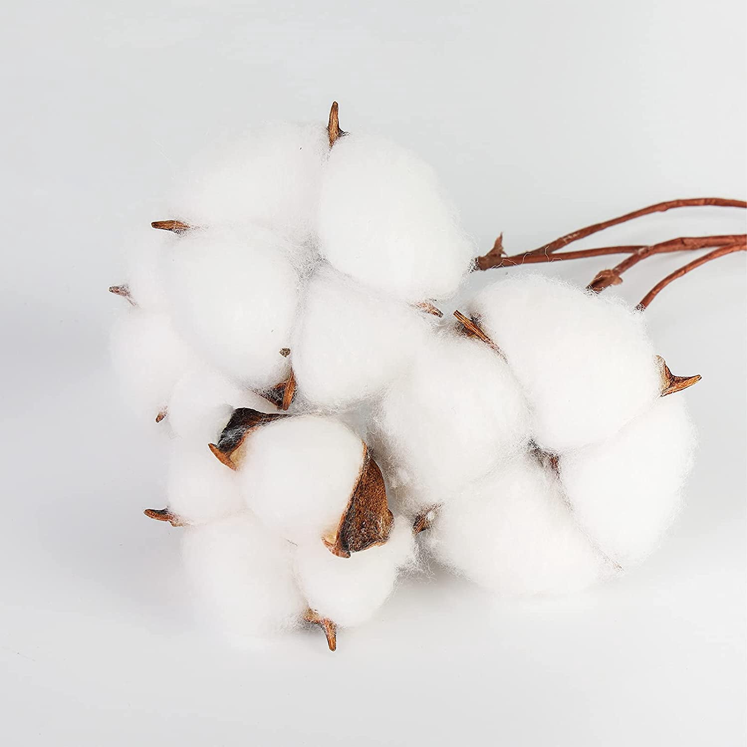 30PCS Natural Dried Cotton Stems 15" Tall, Rustic Cotton Sprigs for Vase Fillers, Floral Arrangements and Farmhouse Fall Decorations and DIY Crafts