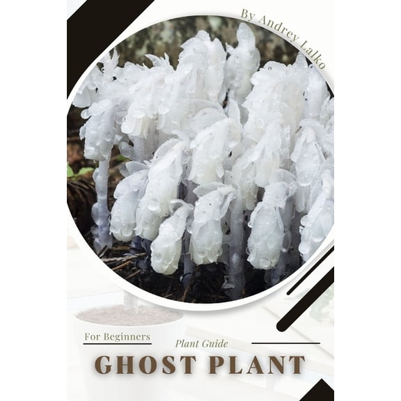 Ghost Plant: Plant Guide
