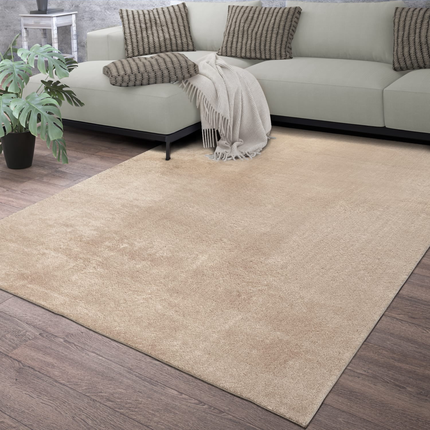 Paco Home Soft Washable Area Rug In Beige - 3'11" x 5'7" (4'x6')