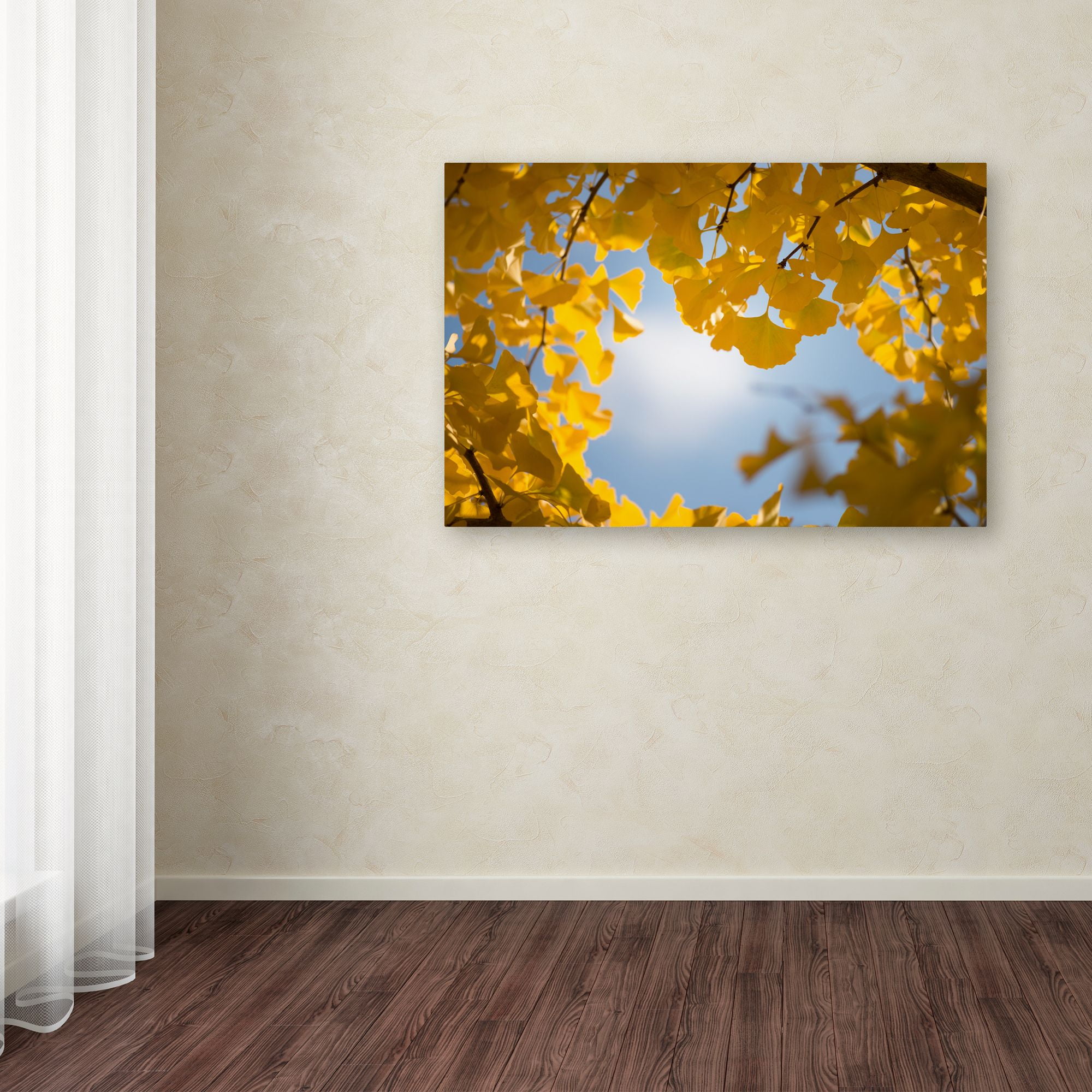Trademark Fine Art "Ginkgo Leaves in Autumn" Canvas Art by Philippe Sainte-Laudy