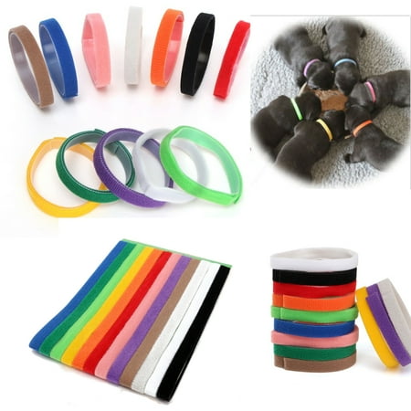 Rhinestone Kitten Collar Meigar 12 Colors Puppy ID Bands Newborn Puppy and Kitten Collars Whelping Kit Adjustable /Reusable /Washable ()