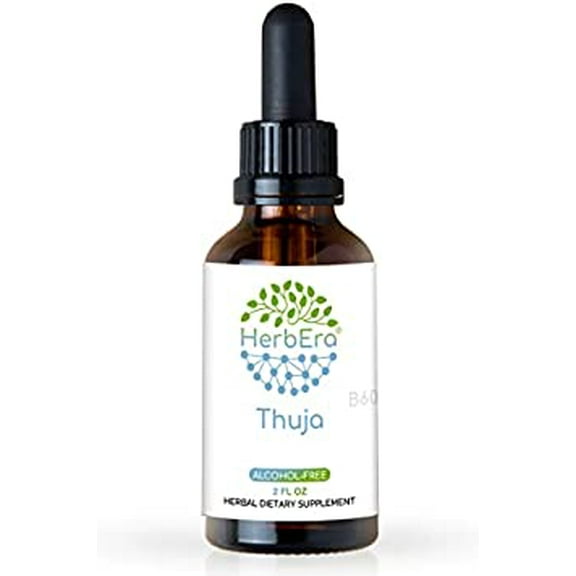 HerbEra Thuja Tincture, Herbal Dietary Supplement for Immune Support, Thuja (Thuja plicata) Dried Leaf Extract, Natural, Alcohol Tincture, Drops 2 oz