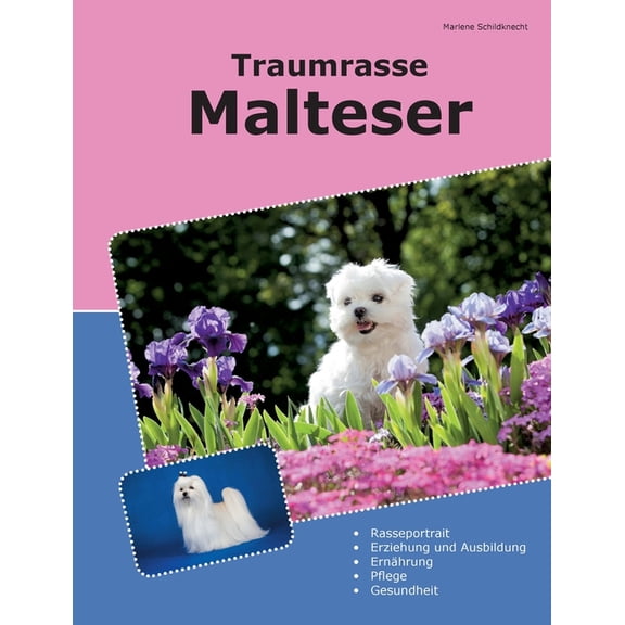 Traumrasse Malteser, (Paperback)